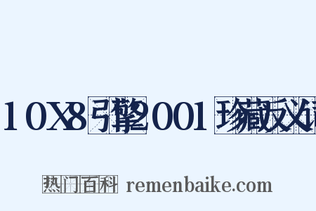 10X8引擎2001珍藏反义词是什么意思的图片